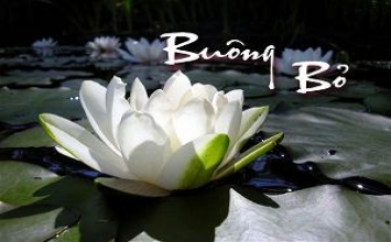 Chưa buông được chỉ vì chưa đau thấu tận tâm can